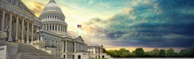 Government
