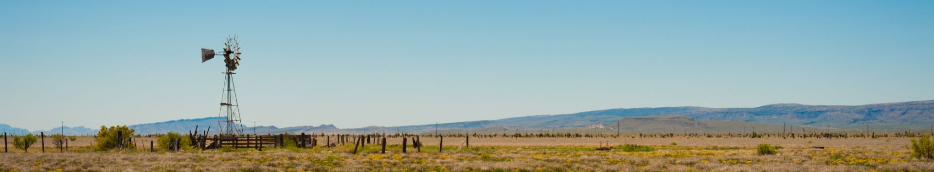 Texas