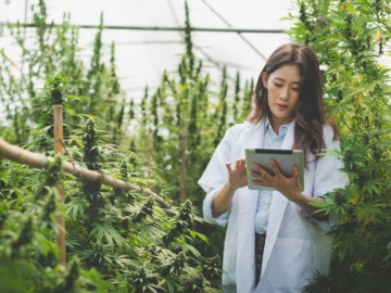 How to Explore Your Industry's Ecosystem